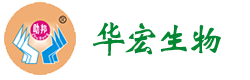 首頁